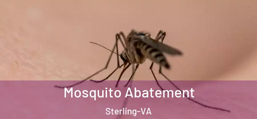 Mosquito Abatement Sterling-VA