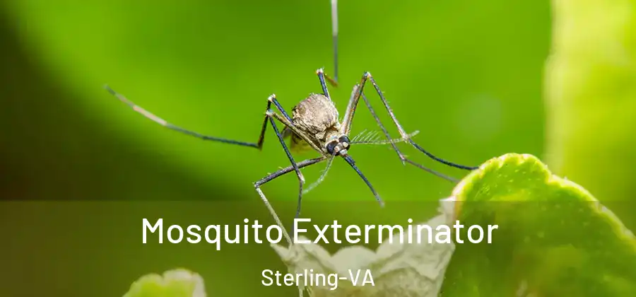 Mosquito Exterminator Sterling-VA