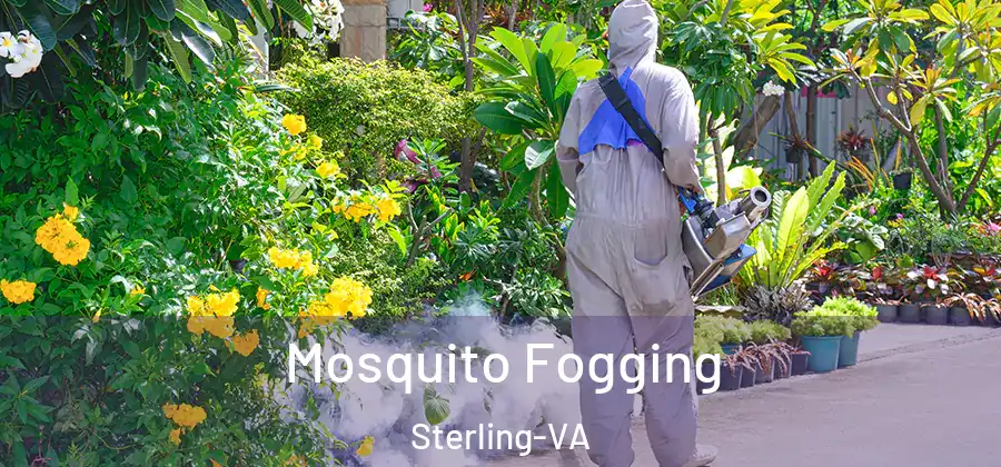 Mosquito Fogging Sterling-VA