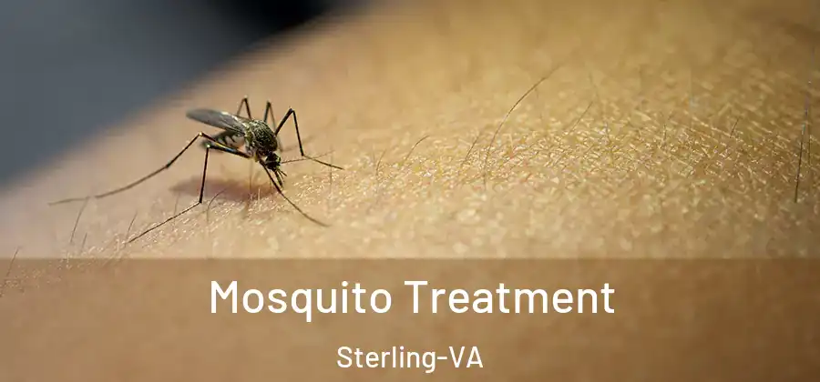 Mosquito Treatment Sterling-VA