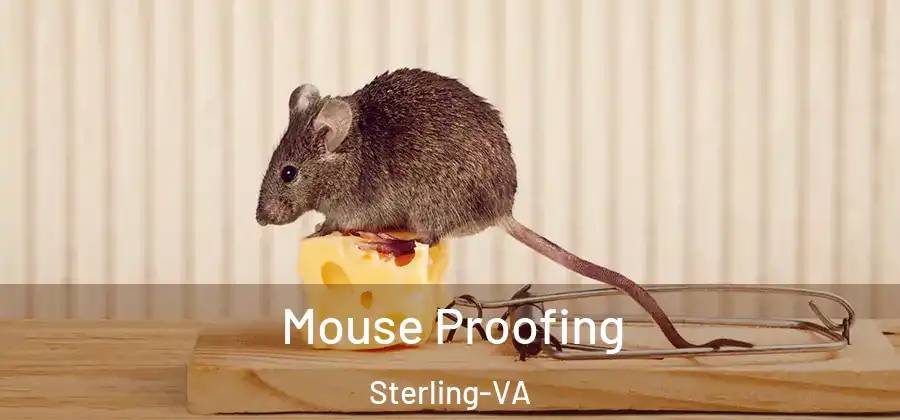 Mouse Proofing Sterling-VA