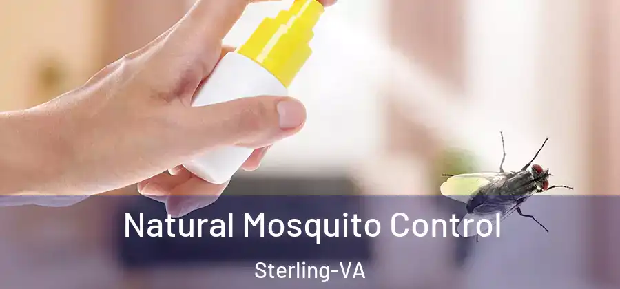 Natural Mosquito Control Sterling-VA