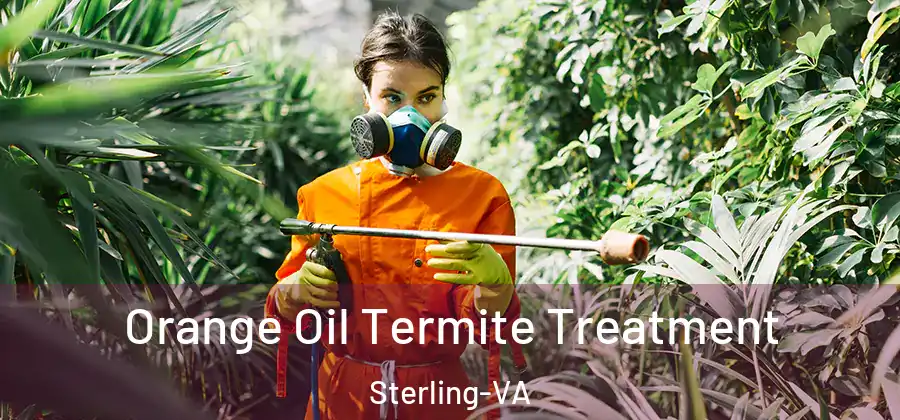 Orange Oil Termite Treatment Sterling-VA