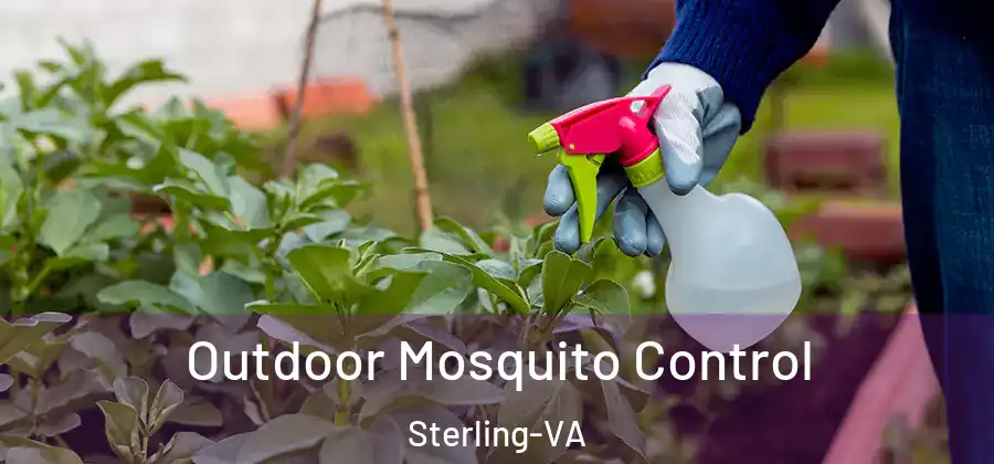 Outdoor Mosquito Control Sterling-VA