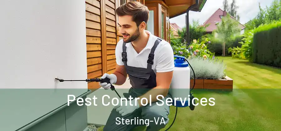 Pest Control Services Sterling-VA