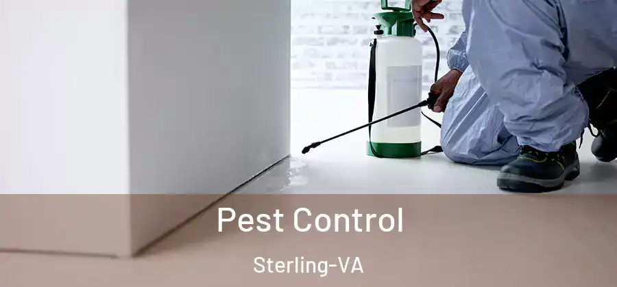 Pest Control Sterling-VA