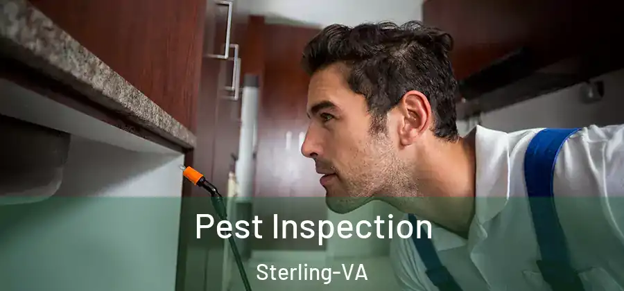Pest Inspection Sterling-VA