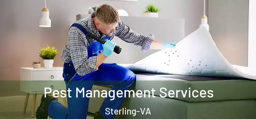Pest Management Services Sterling-VA
