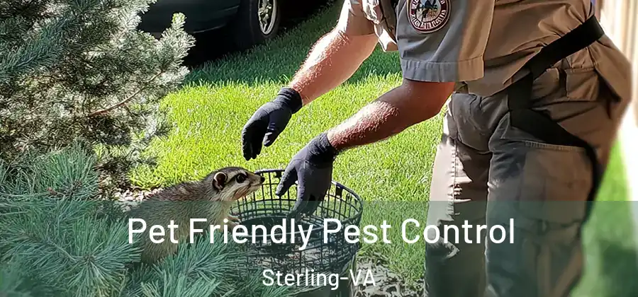 Pet Friendly Pest Control Sterling-VA