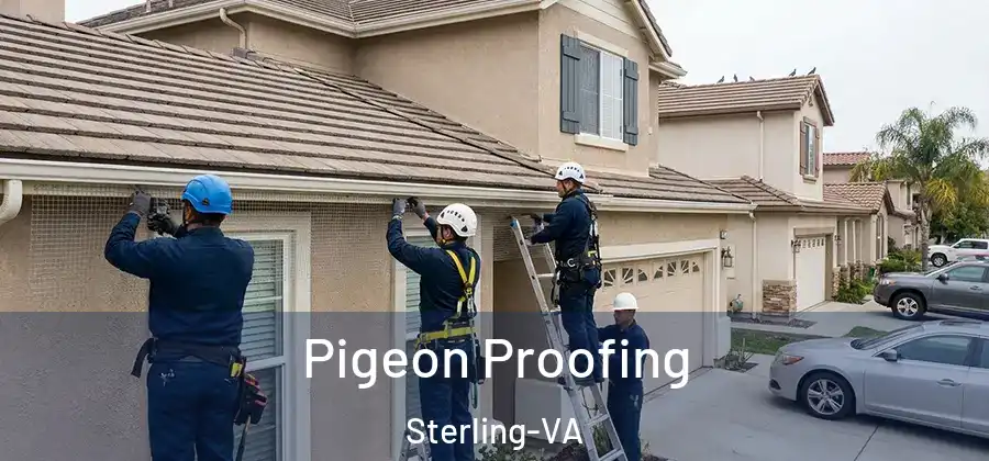 Pigeon Proofing Sterling-VA
