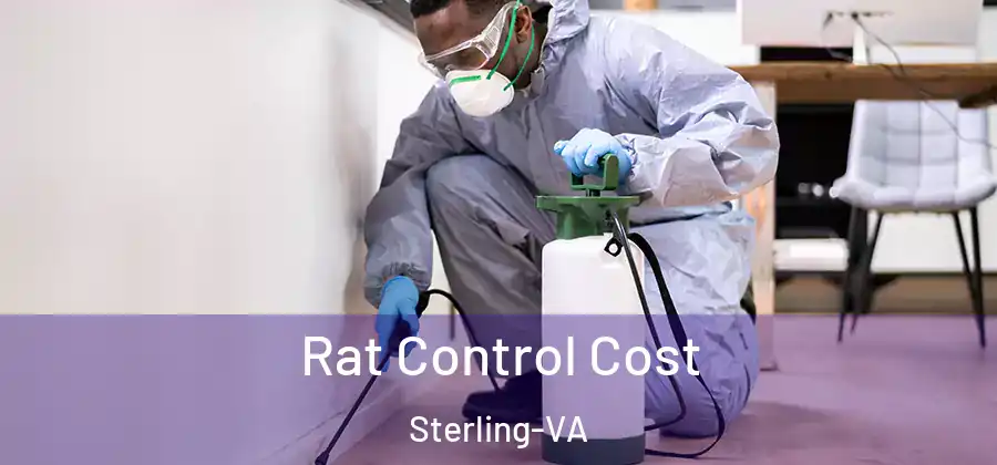 Rat Control Cost Sterling-VA