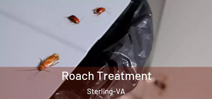 Roach Treatment Sterling-VA