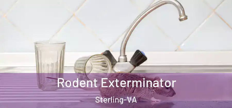  Rodent Exterminator Sterling-VA