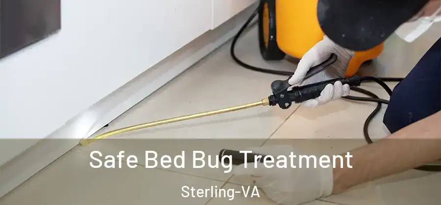 Safe Bed Bug Treatment Sterling-VA