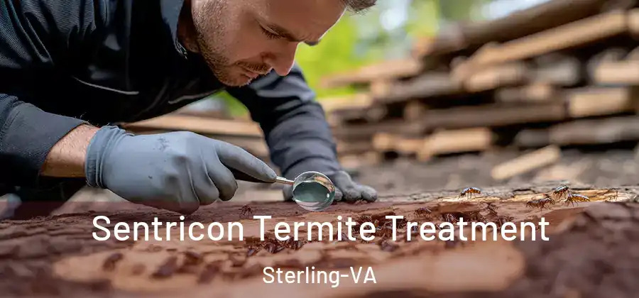  Sentricon Termite Treatment Sterling-VA