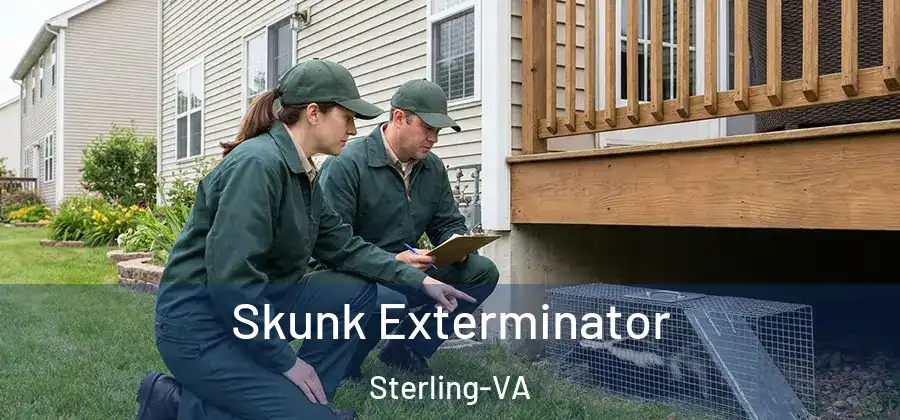 Skunk Exterminator Sterling-VA
