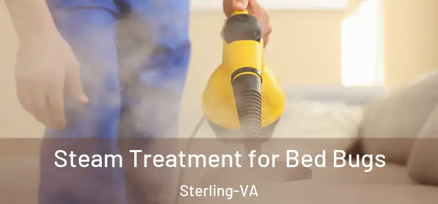 Steam Treatment for Bed Bugs Sterling-VA