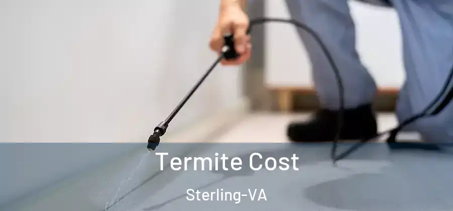 Termite Cost Sterling-VA