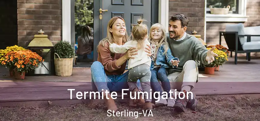  Termite Fumigation Sterling-VA