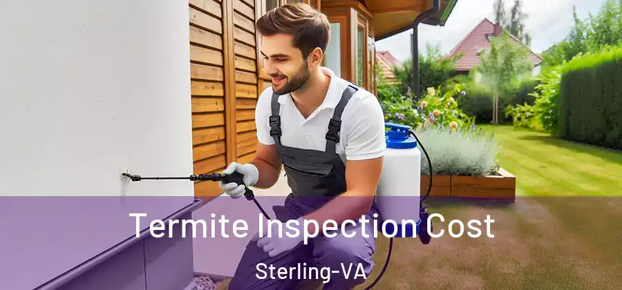 Termite Inspection Cost Sterling-VA