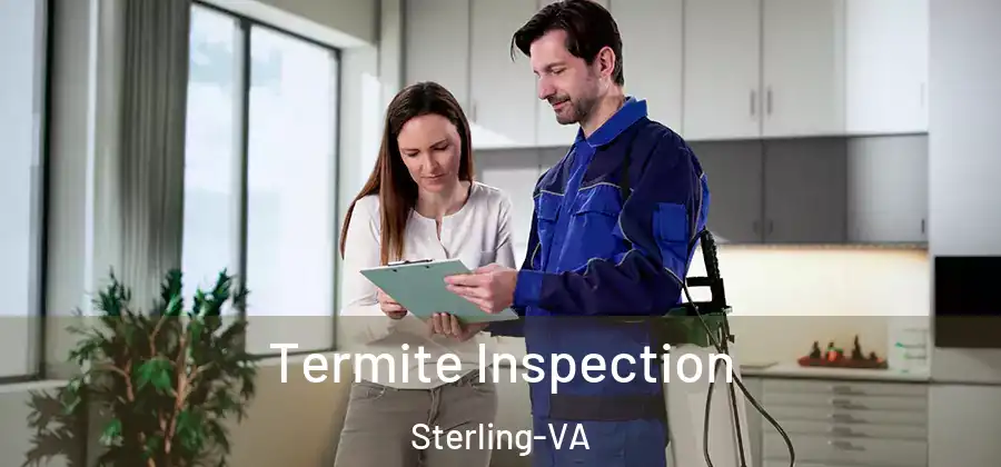 Termite Inspection Sterling-VA