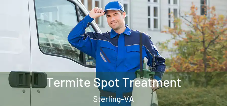 Termite Spot Treatment Sterling-VA