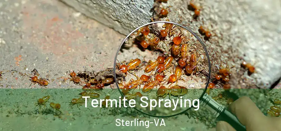 Termite Spraying Sterling-VA