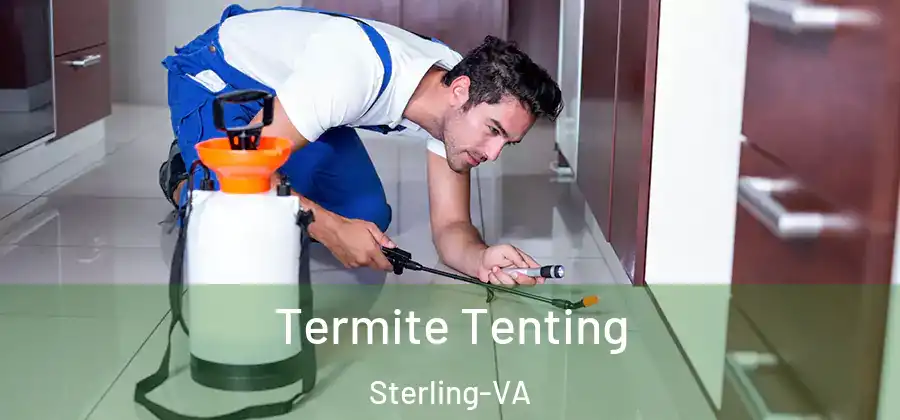 Termite Tenting Sterling-VA