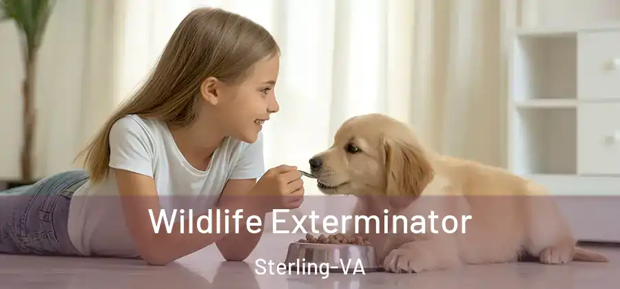Wildlife Exterminator Sterling-VA