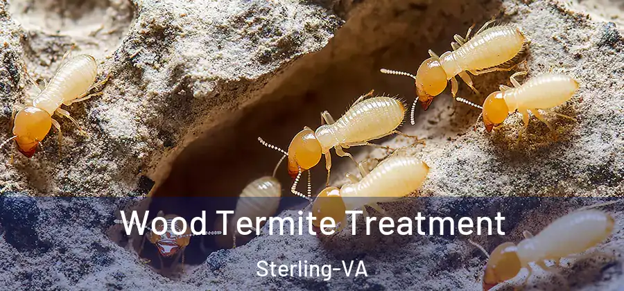  Wood Termite Treatment Sterling-VA